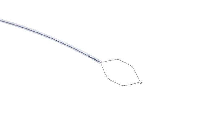 Single Use Polypectomy Snare high quality